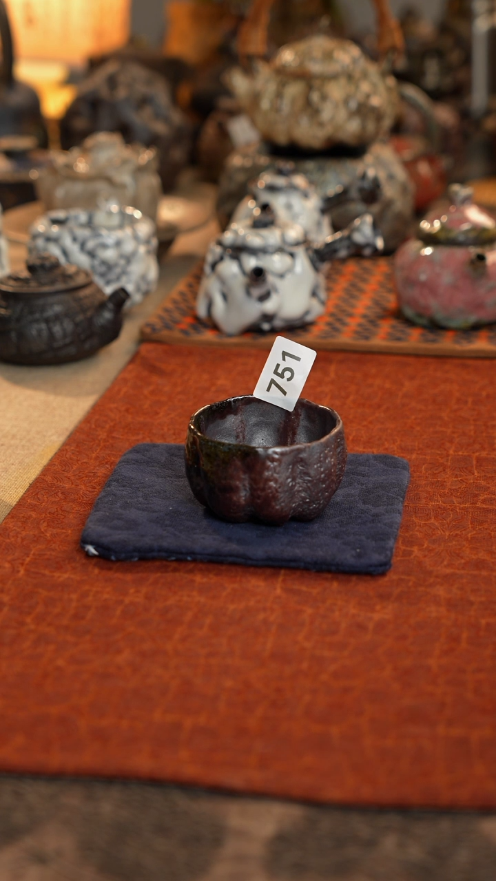 【闪购商品】壶精品好物推荐分享751