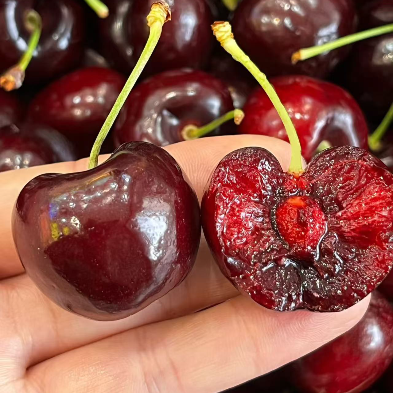  SKEENA 3JD  智利海运车厘子    5斤原箱  内附果径卡 顺丰包邮