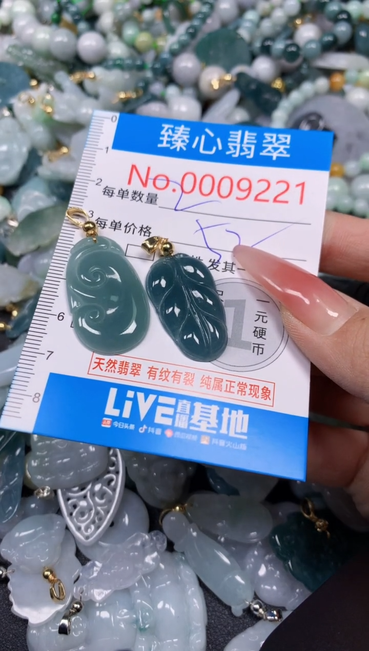 【闪购商品】翡翠颈饰未镶嵌含绳0009221