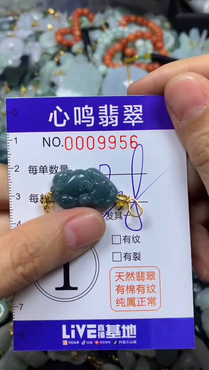 【闪购商品】翡翠颈饰未镶嵌闪购009956