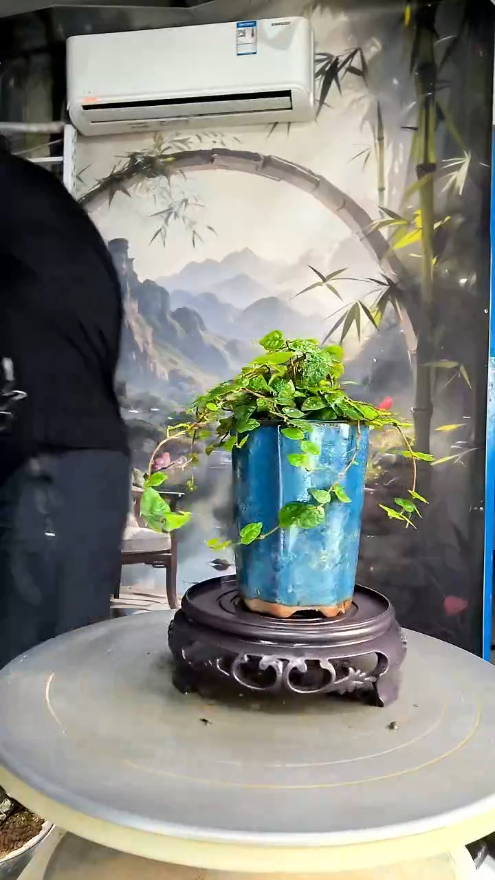 @***姐中青园艺一物一拍213