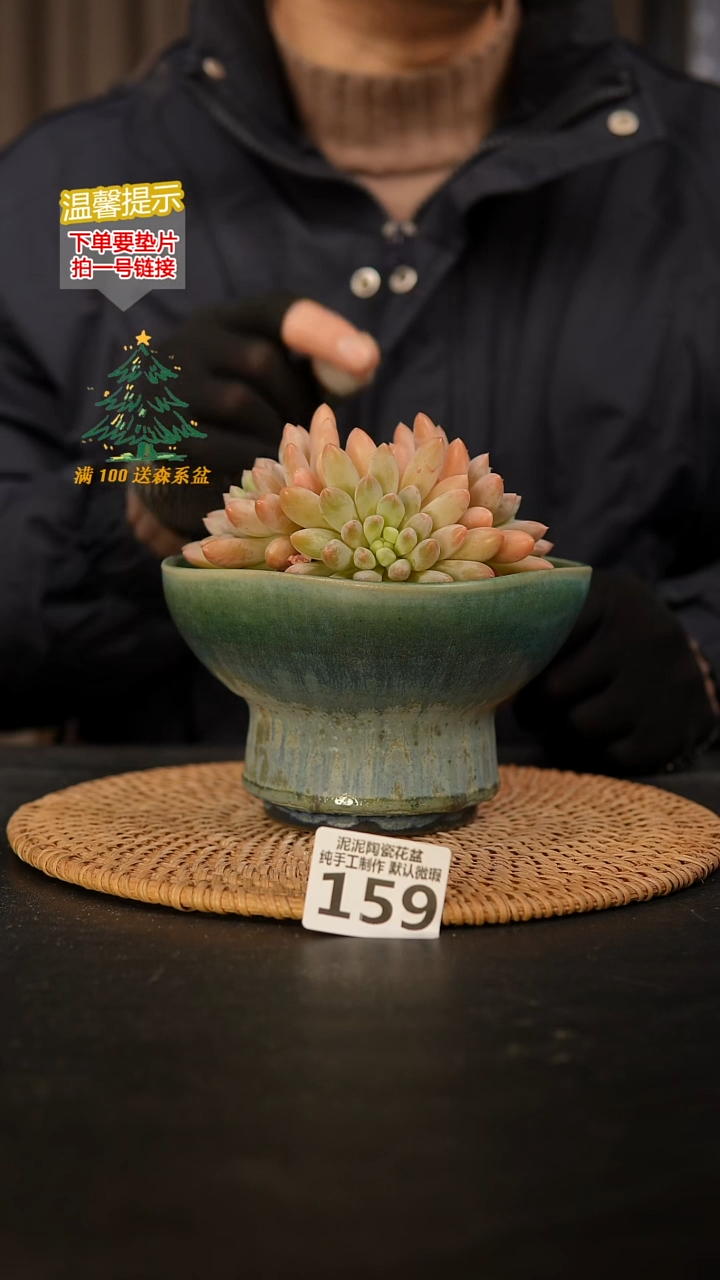 瓷片159 内口径约14  外高约9