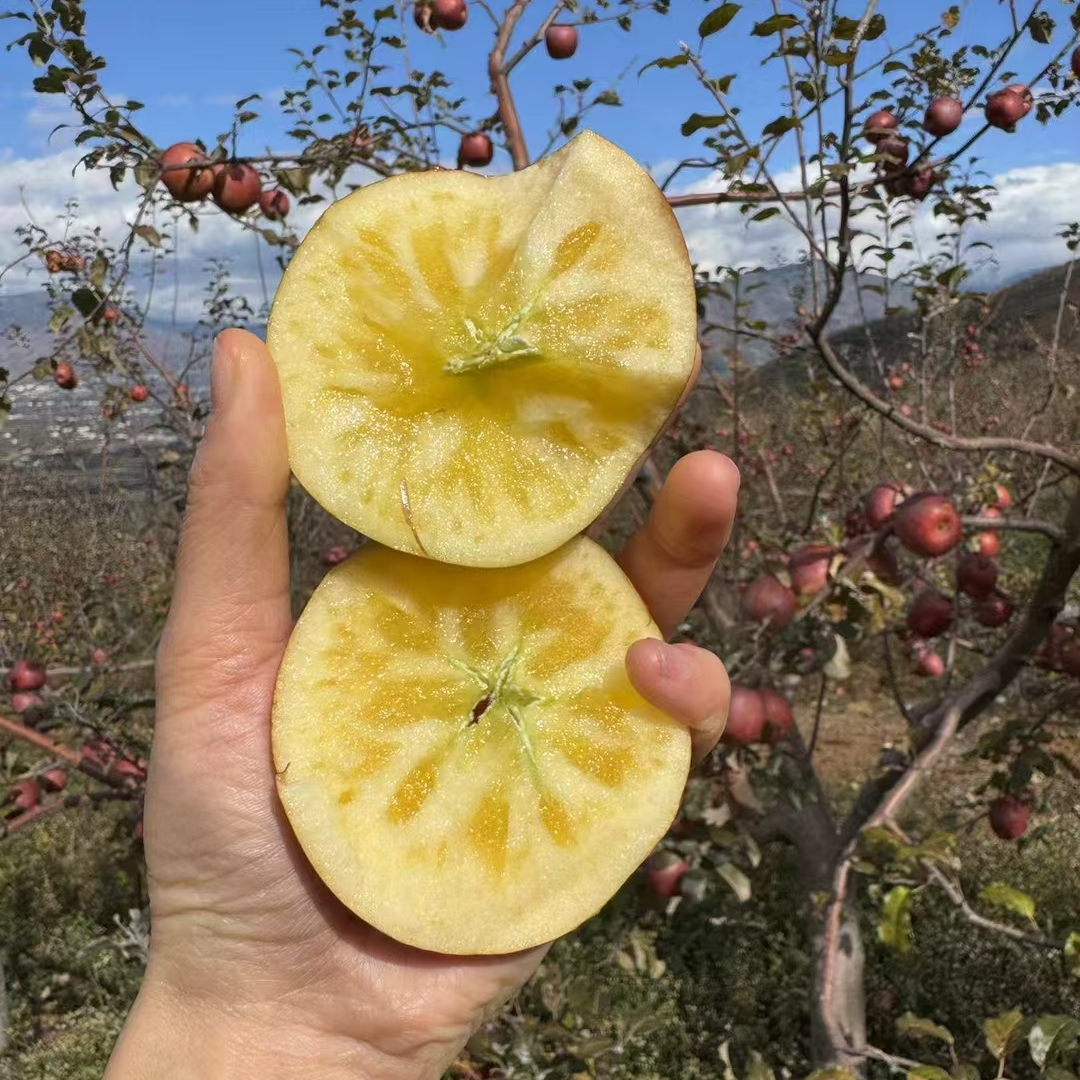 正宗大凉山丑苹果螺纹中大果10斤装