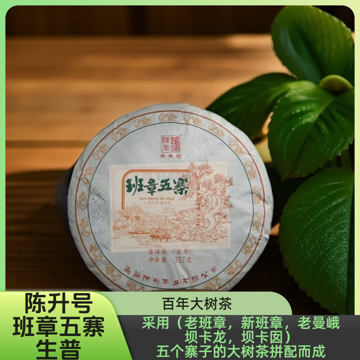 2024年陈升号班章五寨（生普）(品鉴装）云南勐海班章茶叶