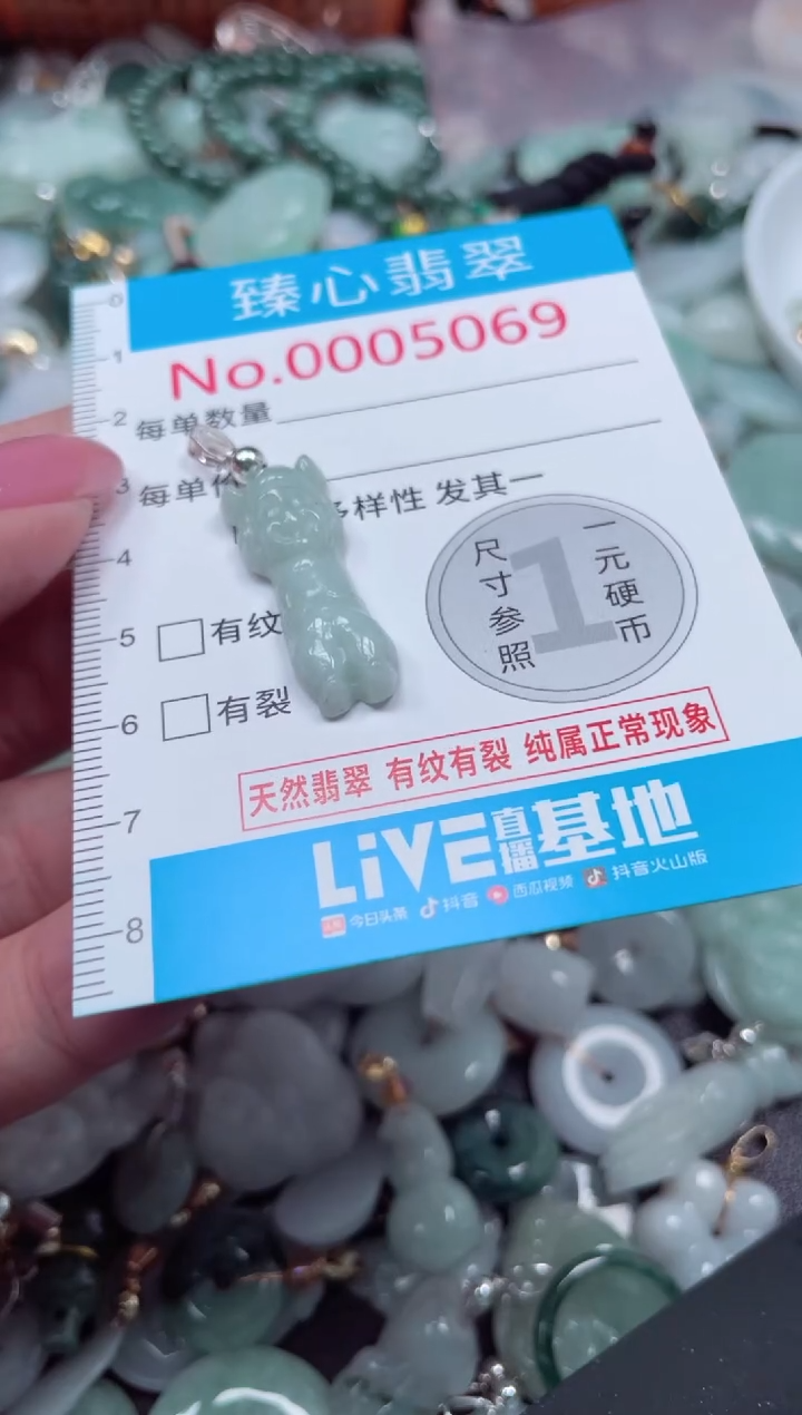 颈饰未镶嵌翡翠5069