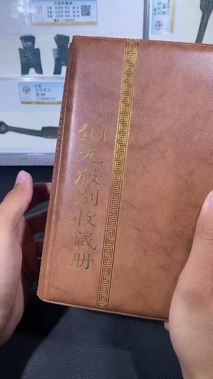 【闪购商品】铜琪珍铜元版别册
