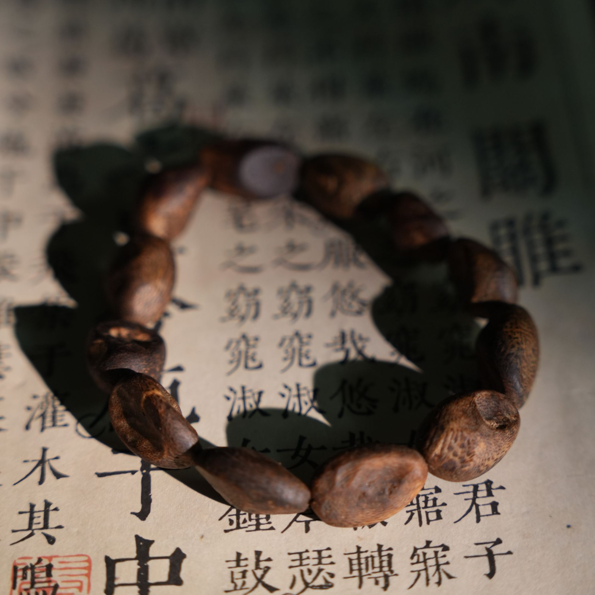 沉香海南沉香奇楠树丁（沉水）单圈沉香手串(多样性发其一）热科大证