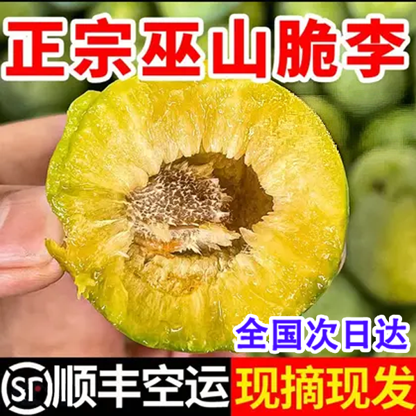 正宗重庆巫山脱骨青脆李 应季水果 清爽脆甜 果香浓郁 顺丰包邮 次日达 全国多仓发货 48枚/60枚礼盒装重庆市