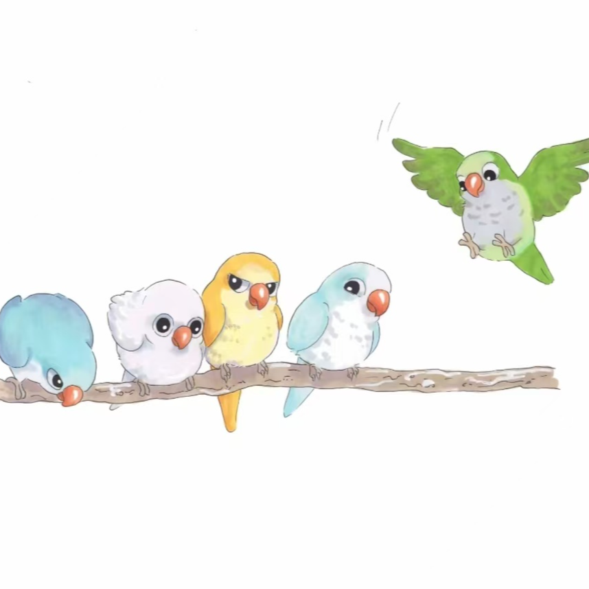 手养亲人可放飞可上手活体宠物鹦鹉雏鸟