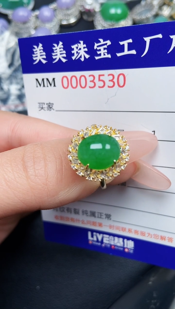 【闪购商品】翡翠颈饰银S925镶嵌3530