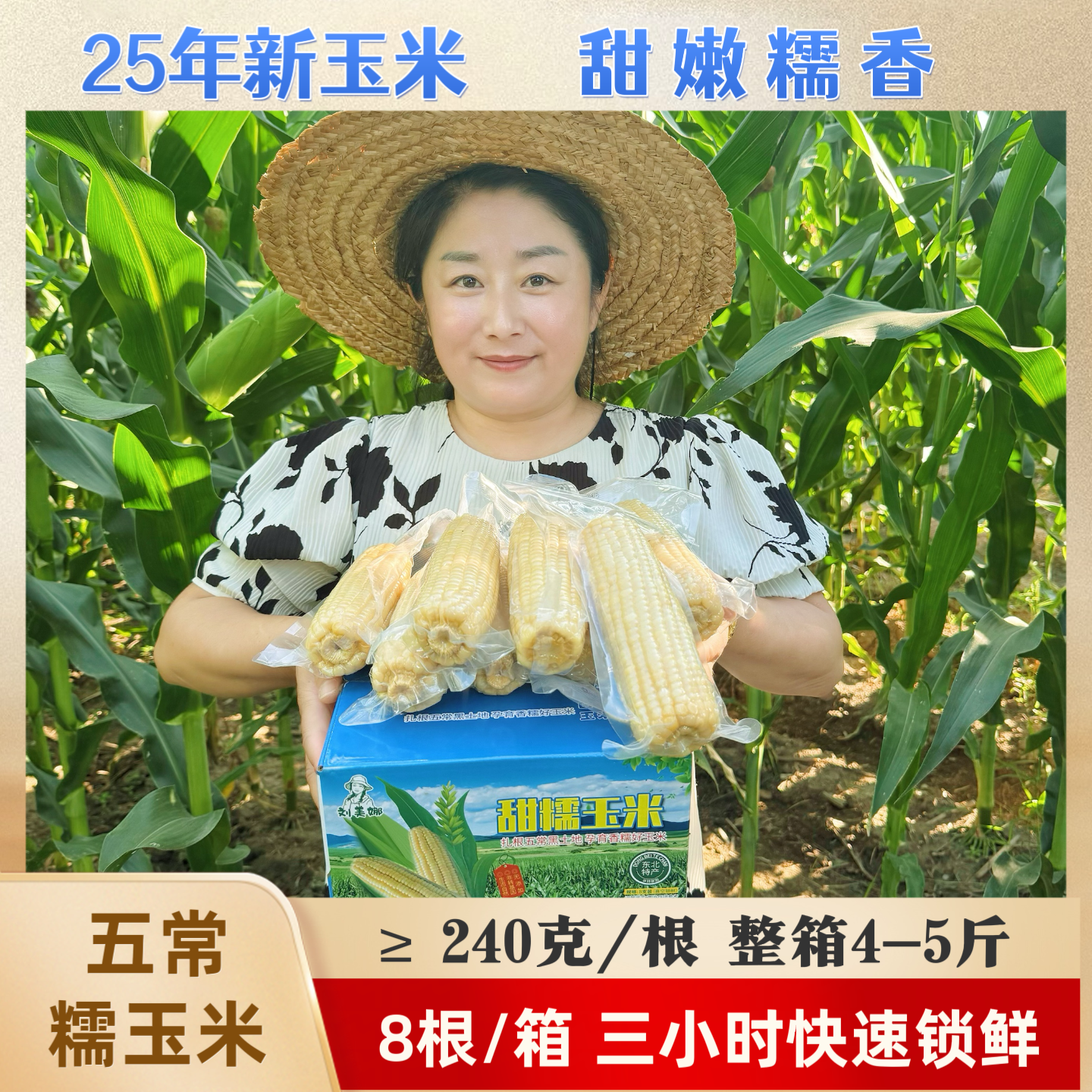 【刘美娜五常粘糯玉米】25年一箱8根真空鲜食白玉米黄玉米