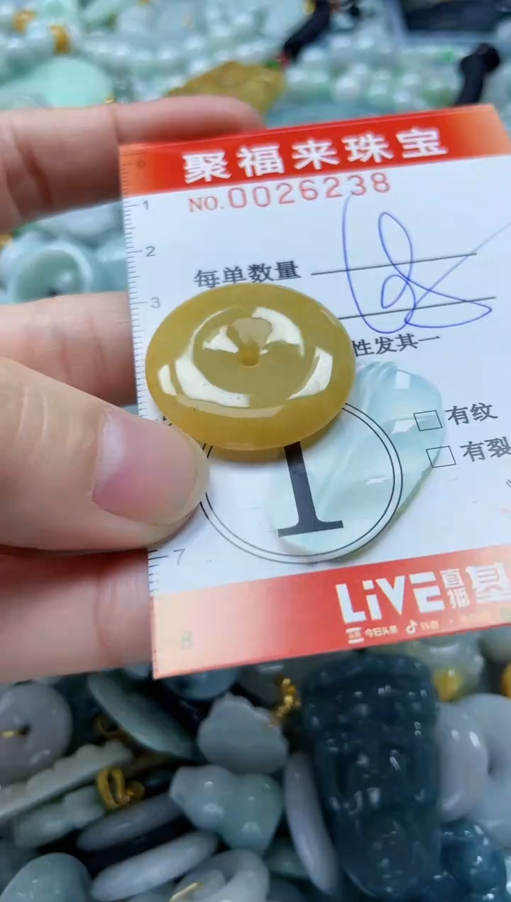 【闪购商品】翡翠颈饰未镶嵌闪购0026238