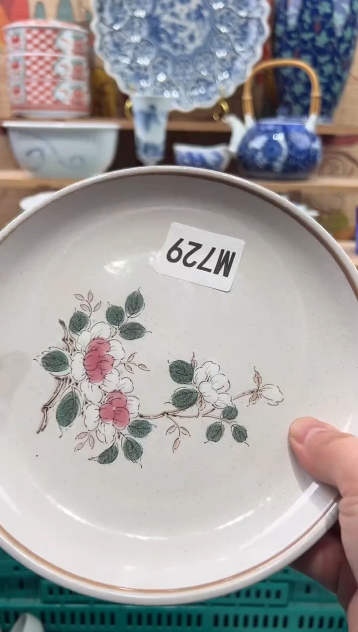 瓷片酸****气瓷片------M729