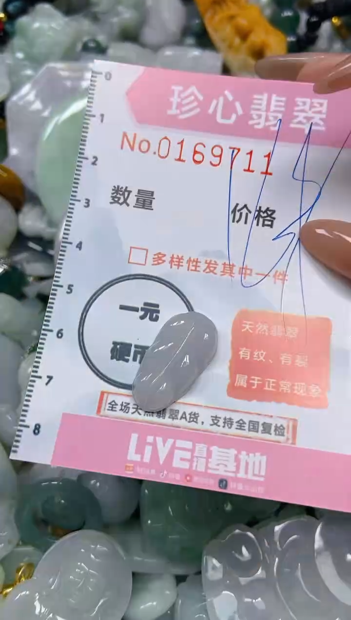 【闪购商品】翡翠颈饰未镶嵌闪购0169711