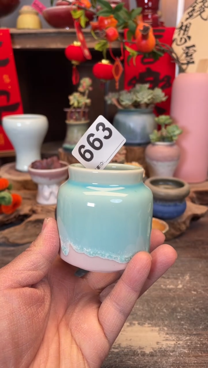 【闪购商品】摆件663知木小芳花盆