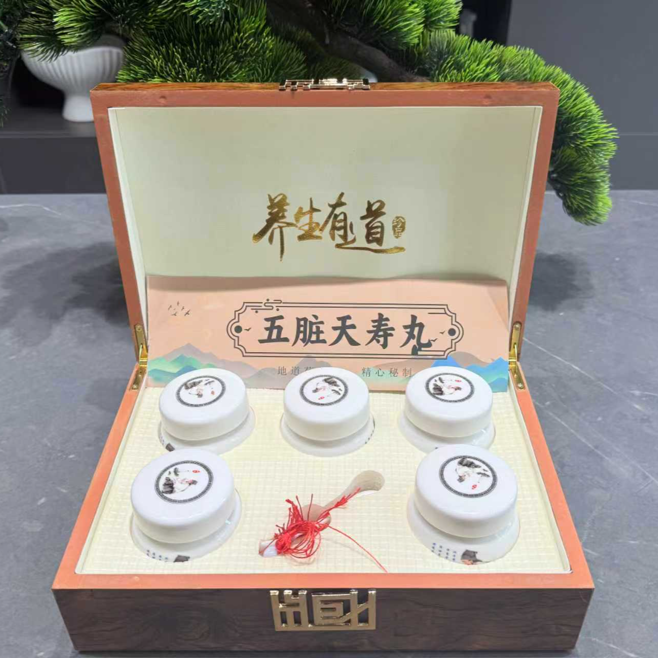 五脏天寿丸              