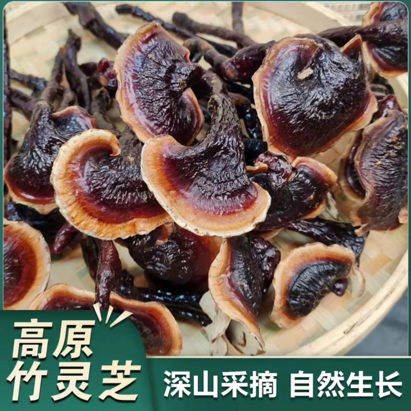 高原下山货竹灵芝 助农山货竹灵芝-褐 煲汤煮茶滋补营养