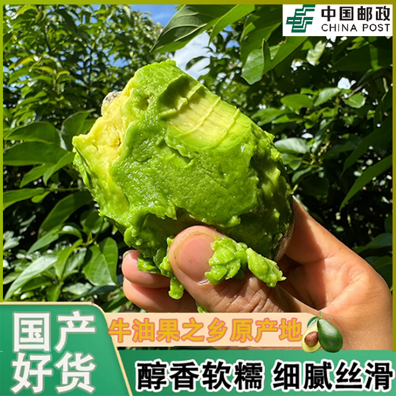 [邮政空运]云南国货之光孟连福尔特牛油果孕宝妈辅食优选水果鲜果