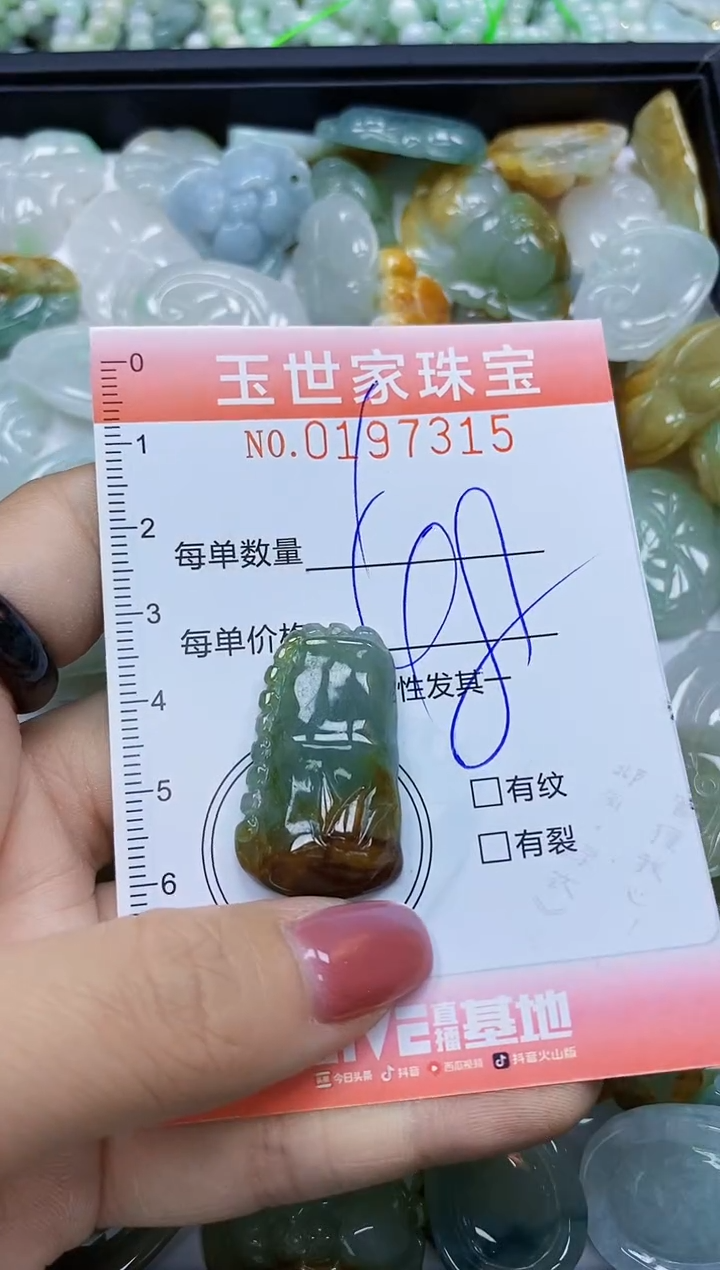 【闪购商品】翡翠颈饰未镶嵌闪购0197315