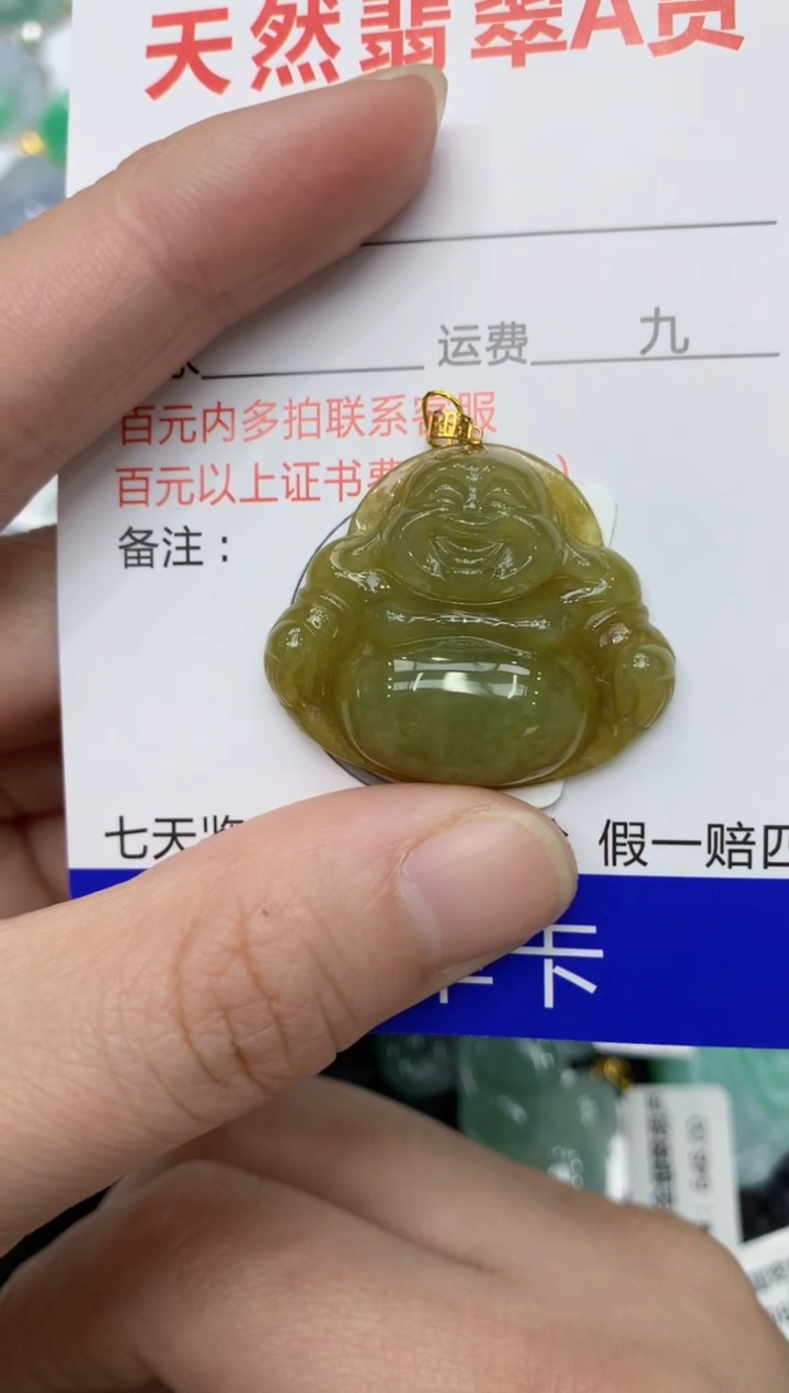 【闪购商品】翡翠颈饰18K金镶嵌11111111