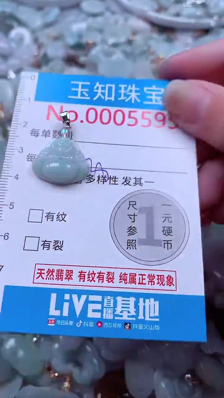 吊坠(不含链)未镶嵌翡翠5595