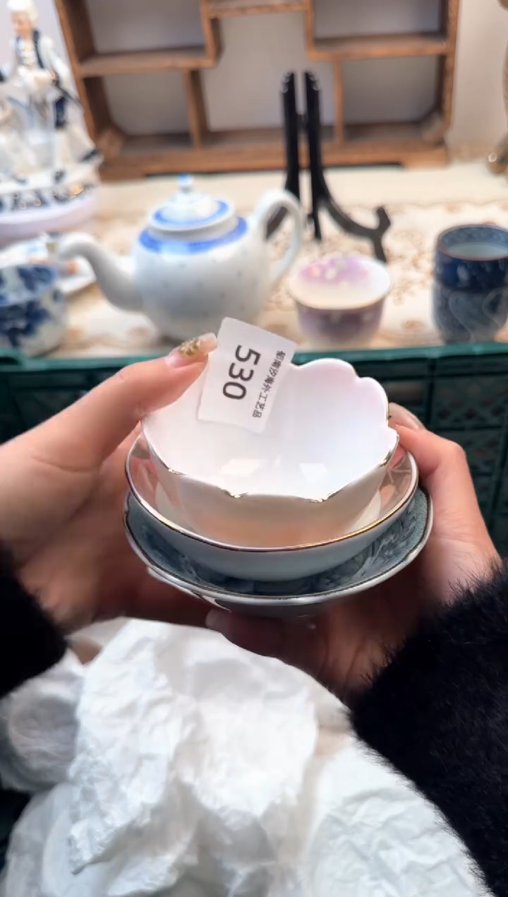 【闪购商品】瓷片Z           530