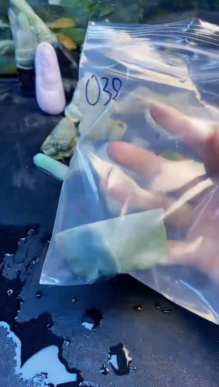 颈饰未镶嵌翡翠南****号天然翡翠038