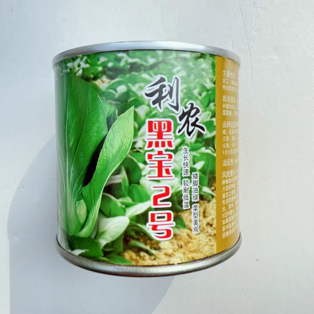 矮脚油绿青梗菜种子叶片墨绿肥厚适合大型基地种植