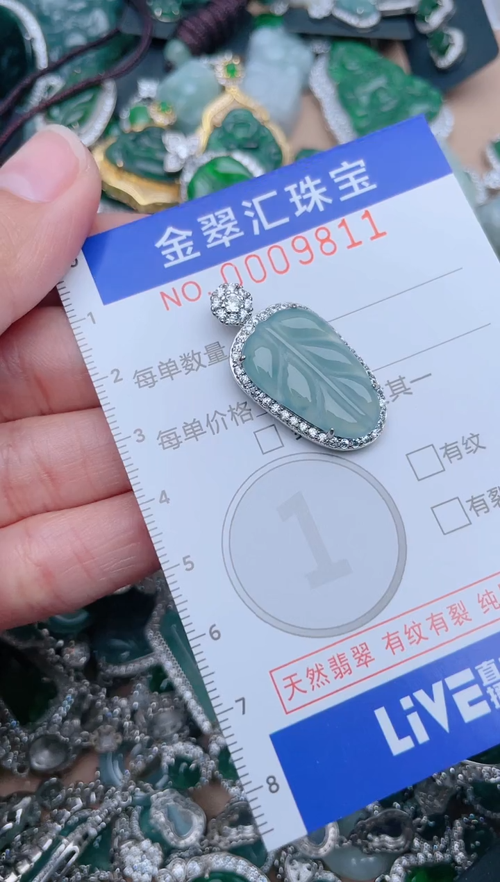 【闪购商品】翡翠颈饰未镶嵌9810.....