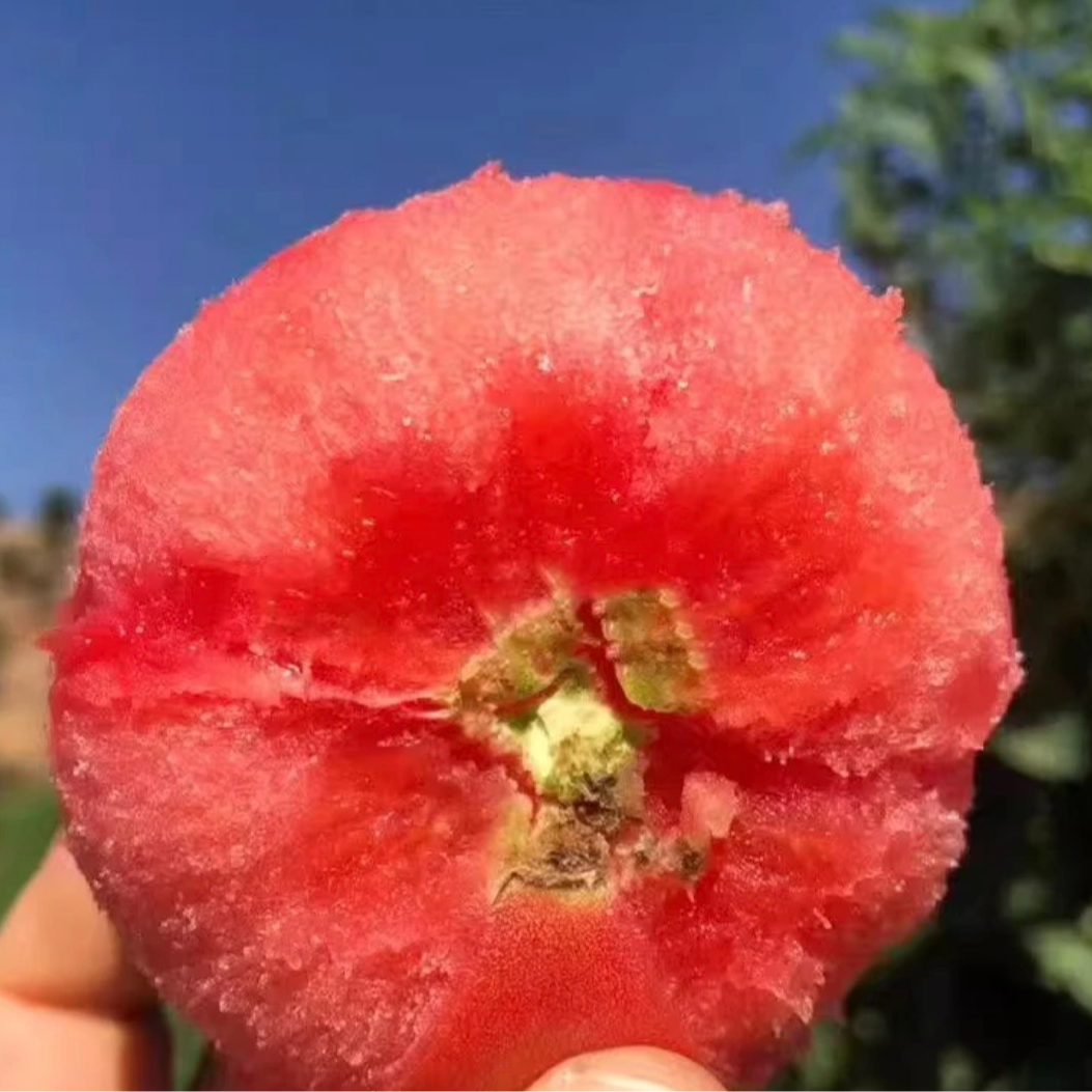 【次日达】陕西泾阳普罗旺斯西红柿4.5斤 沙甜可口 不是假货 （京东包邮）