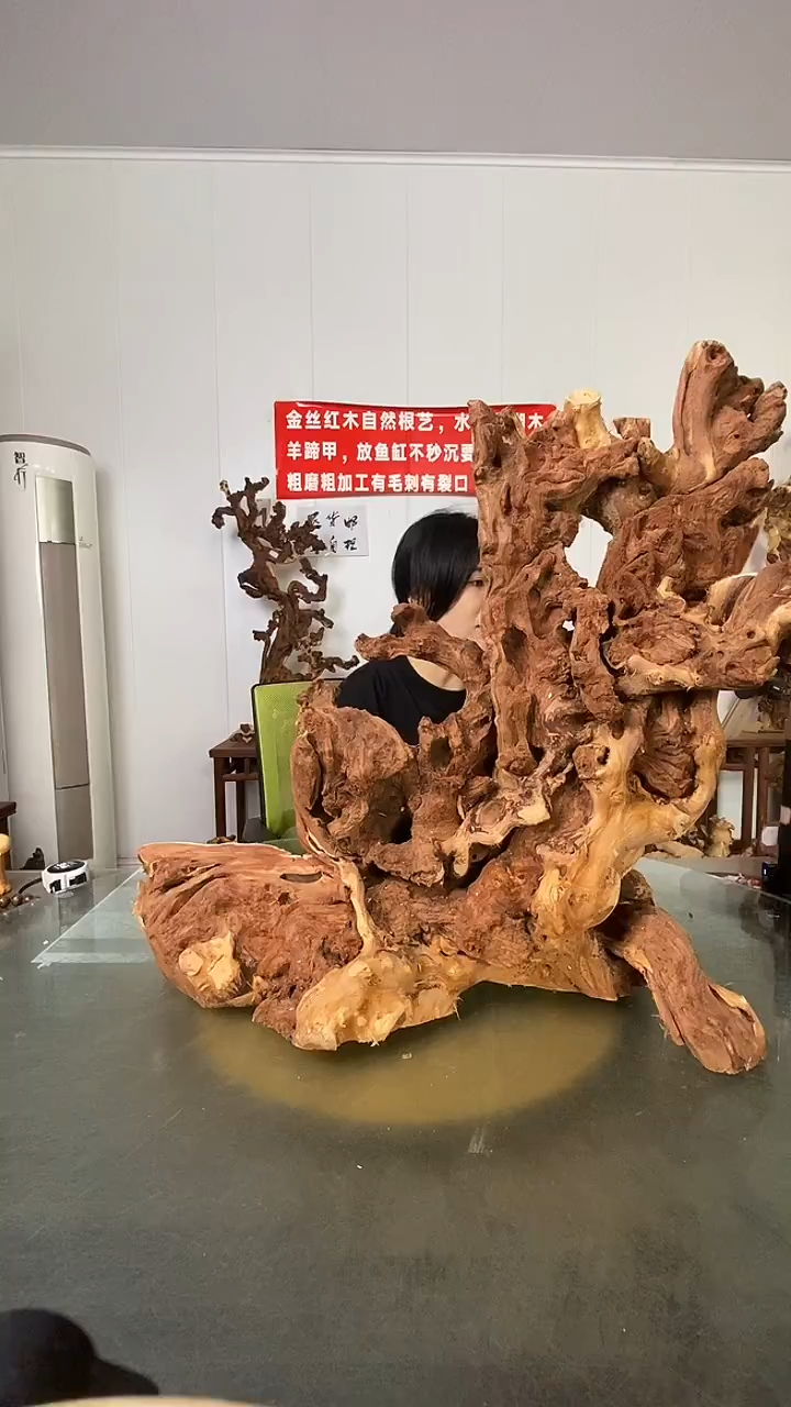 香榧木爱***睛金丝红木 羊蹄甲