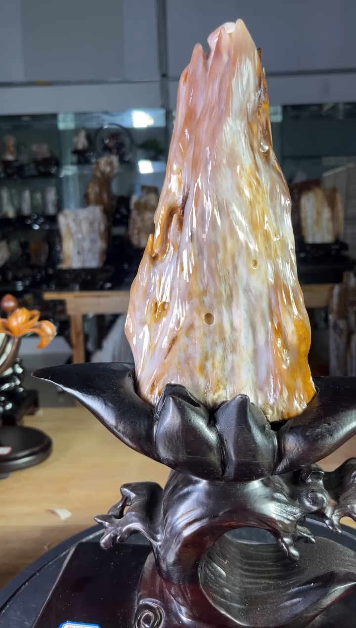 【闪购商品】硅化玉珠宝奇石未镶嵌1