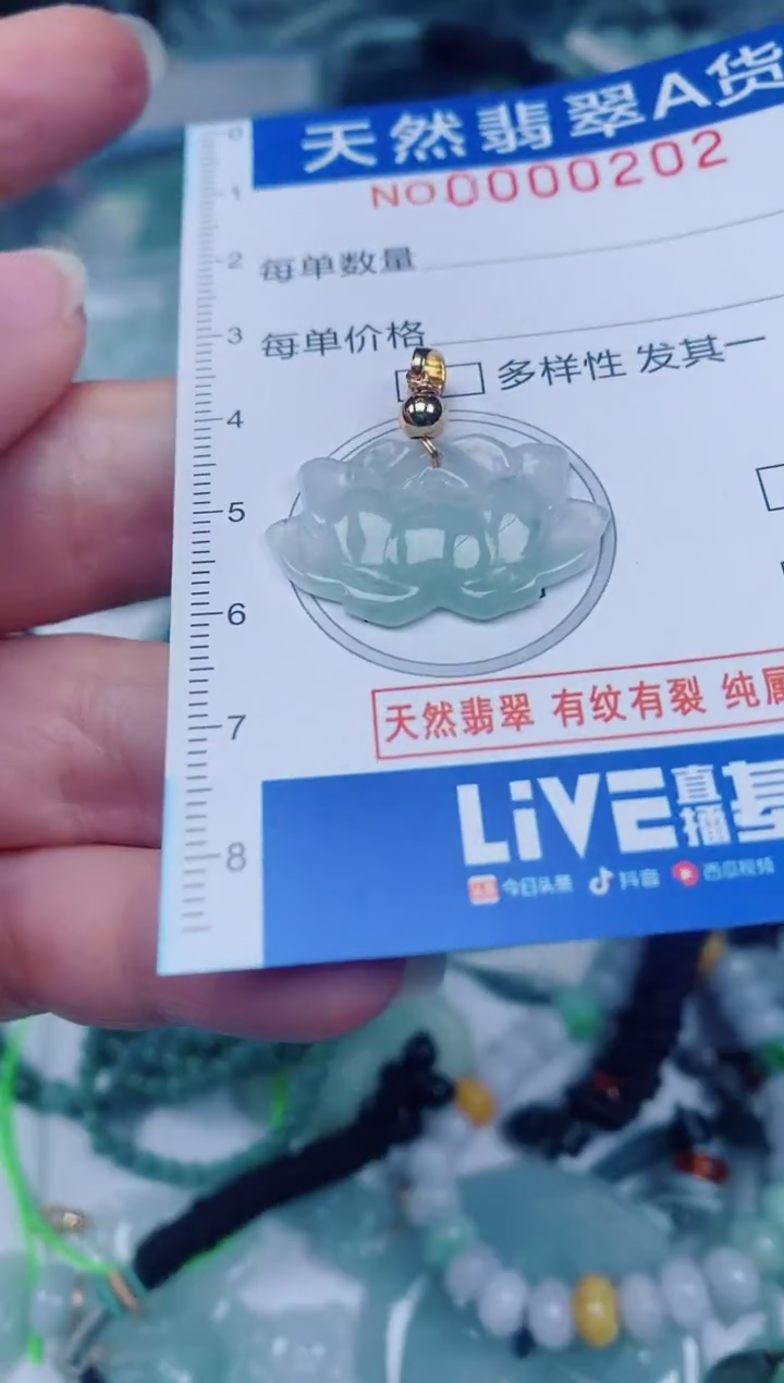 颈饰未镶嵌翡翠00000202