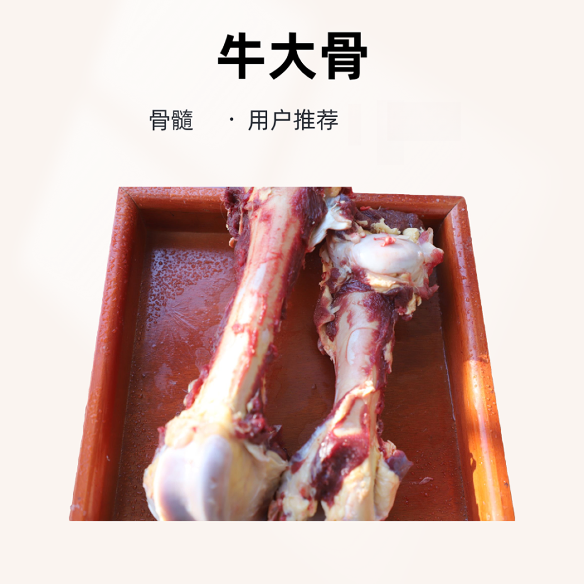 门源白牦牛【白牦牛棒骨】纯草膘鲜肉青海祁连山脉森林散养牦牛骨
