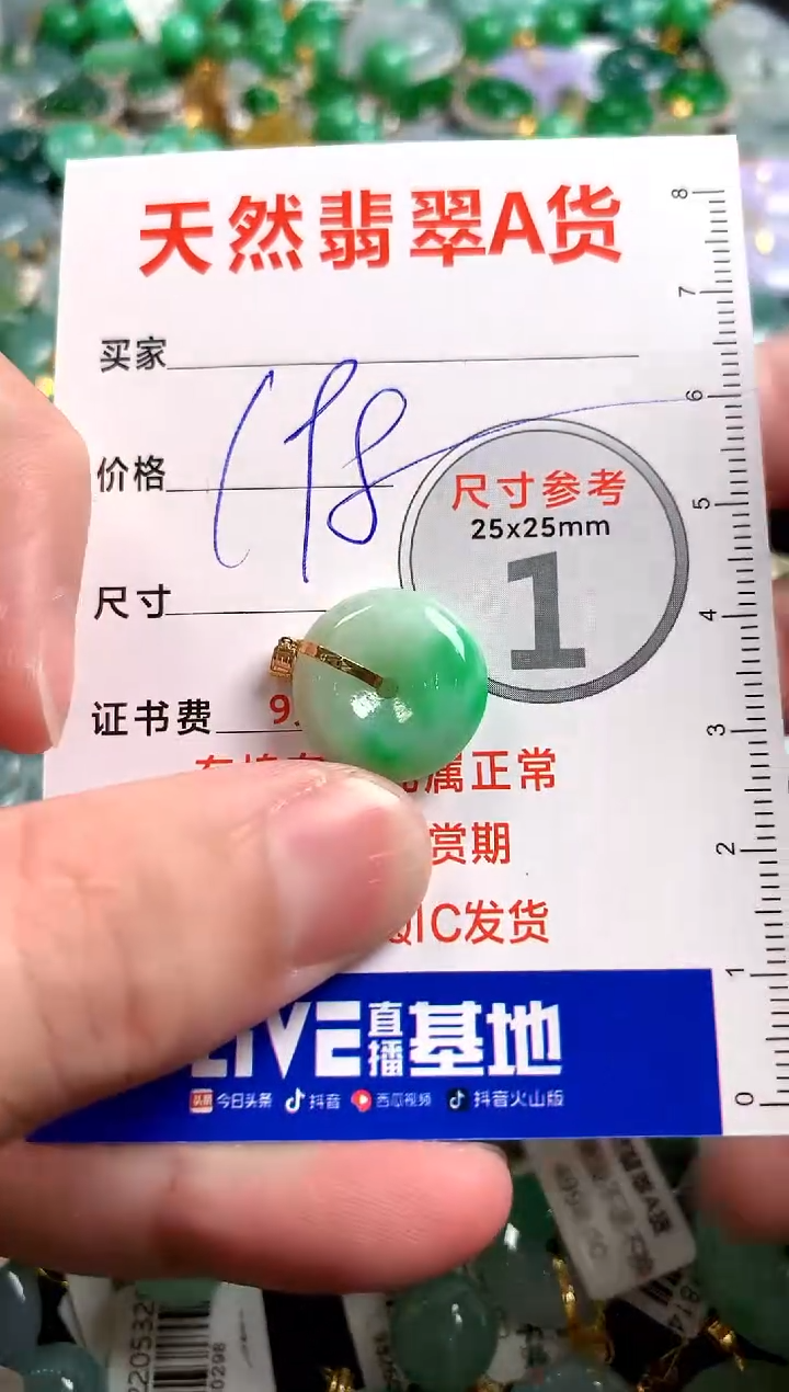 【闪购商品】翡翠颈饰18K金镶嵌0430210806
