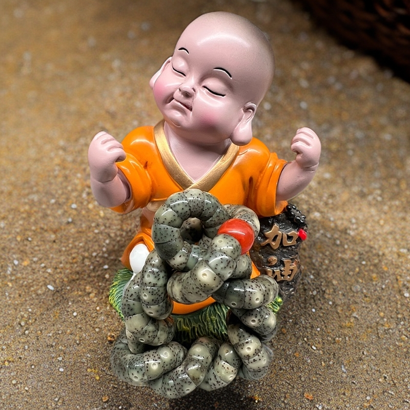 8大肠海南原生态星月菩提