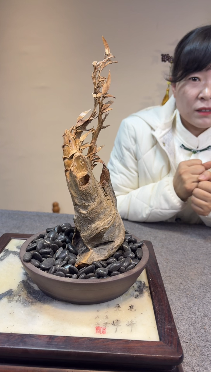 木_*崖柏崖柏崖柏