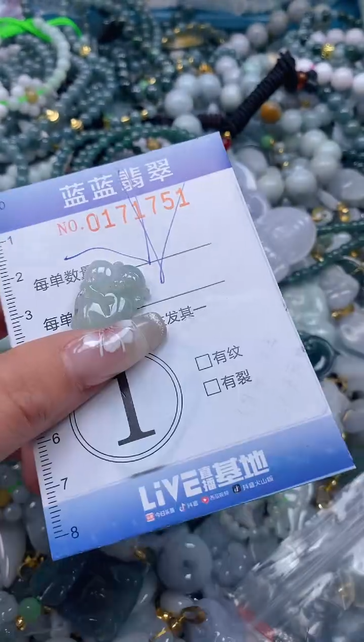 【闪购商品】翡翠颈饰未镶嵌闪购0171751