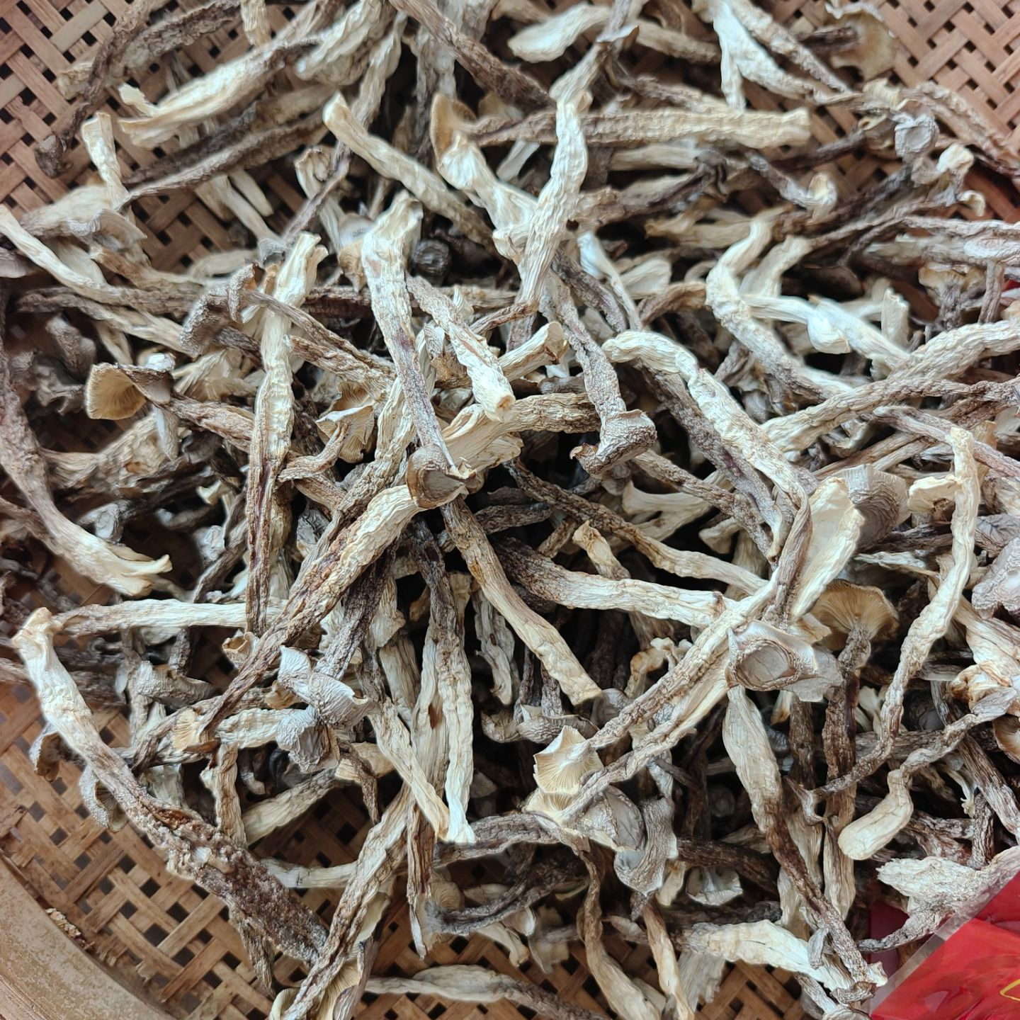 @鹿茸菇干货精选鹿茸菇干货新鲜