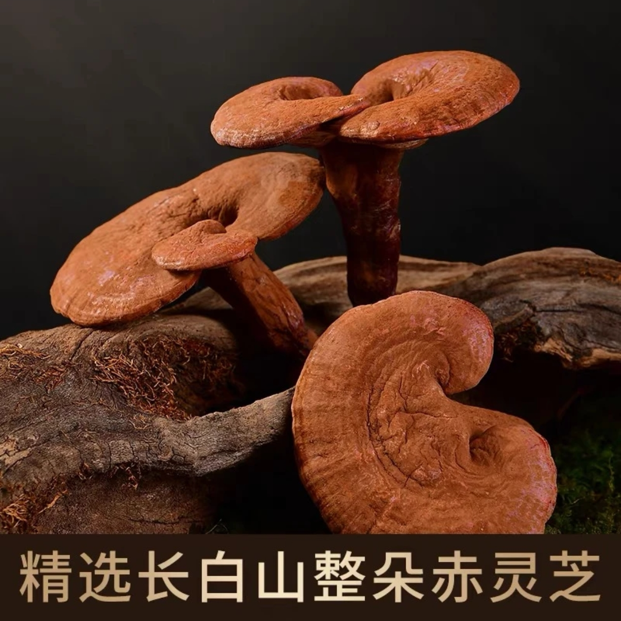 益合长白山赤灵芝干货整枝送长辈送礼