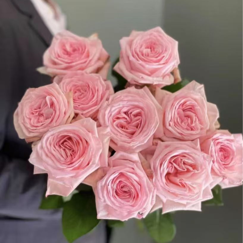 鲜花【粉荔枝+苏菲】 同地址任意拍2单冷链送货上门