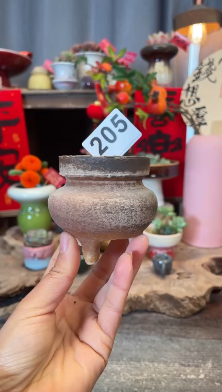 【闪购商品】摆件205知木小芳花盆