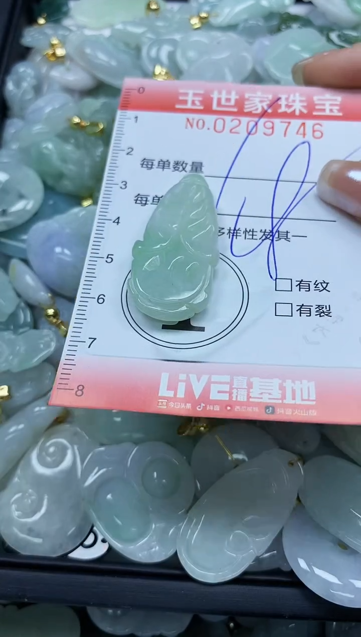 【闪购商品】翡翠颈饰未镶嵌闪购0209746