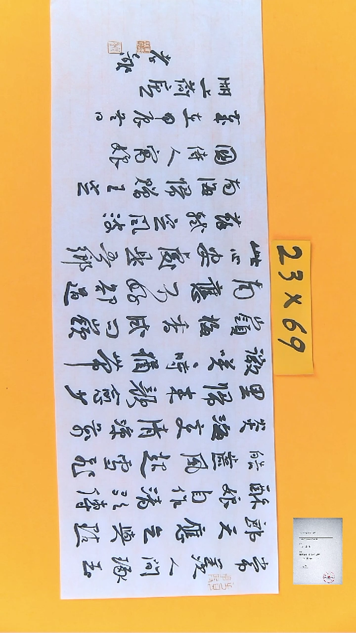 【闪购商品】书法江孝龙获奖同款字体定风波23*69