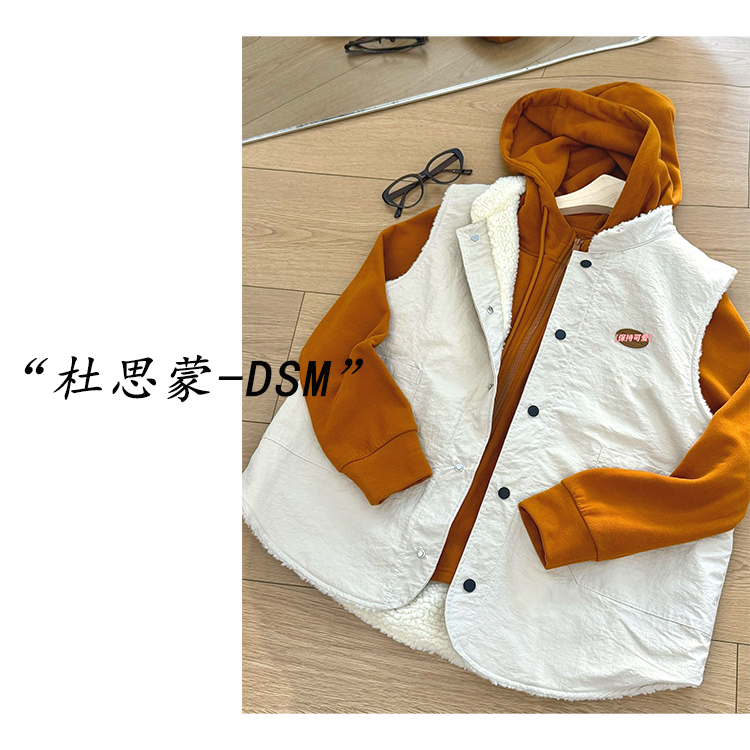 DSM-【简而不素】韩国货！25秋冬韩系休闲保暖两穿马甲20258481