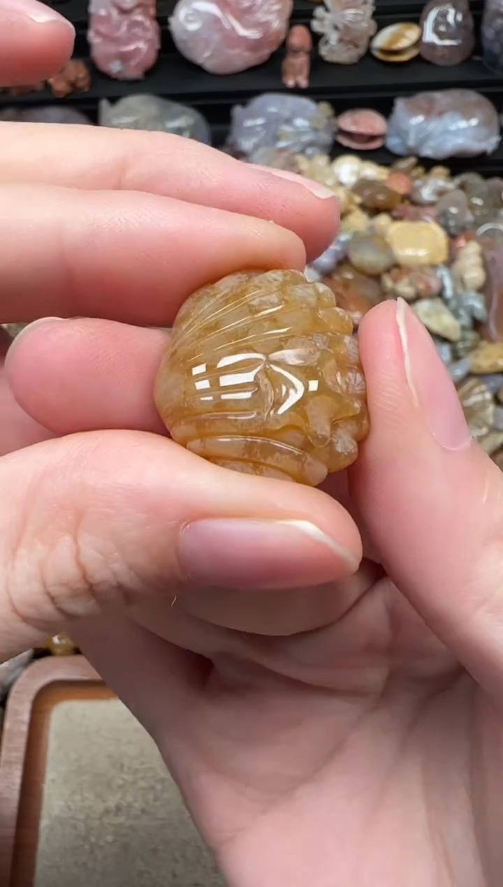 颈饰未镶嵌硅化珊瑚（珊瑚玉）654