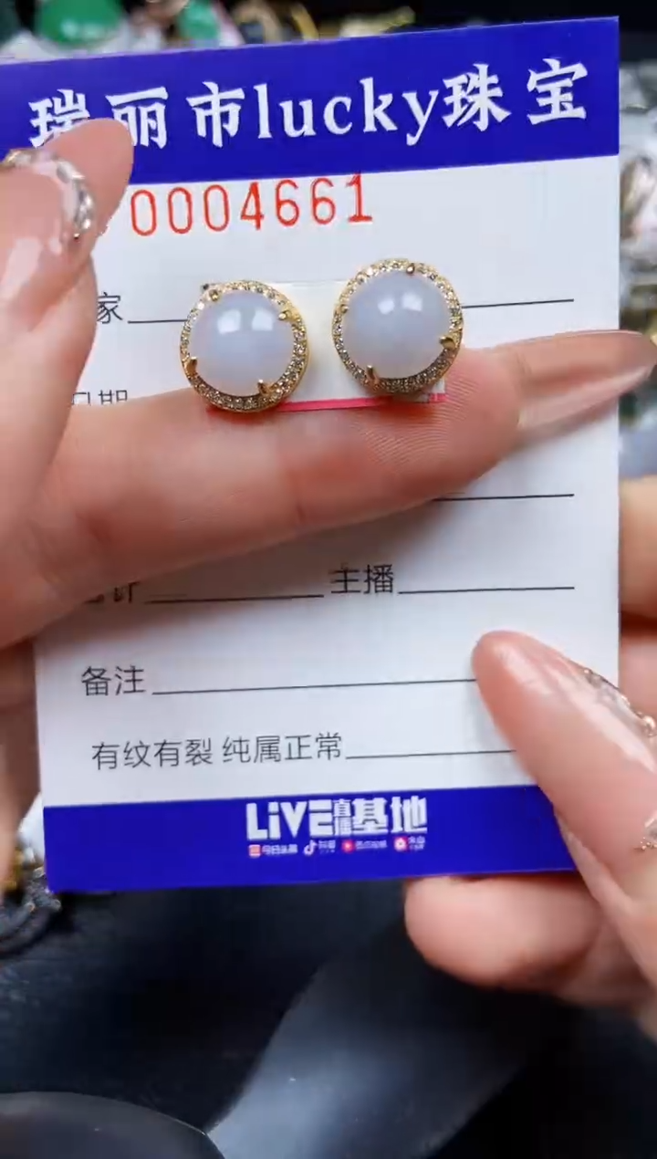 翡翠银S925镶嵌颈饰4661