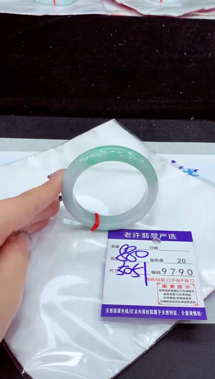 未镶嵌手镯翡翠11