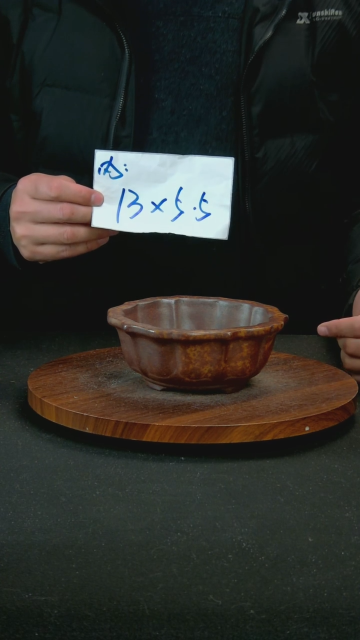 【闪购商品】紫砂Y19