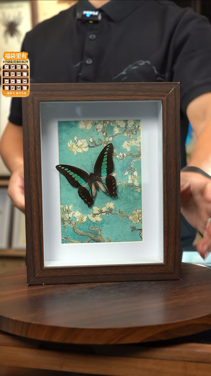 青凤蝶8寸复古框腊梅款